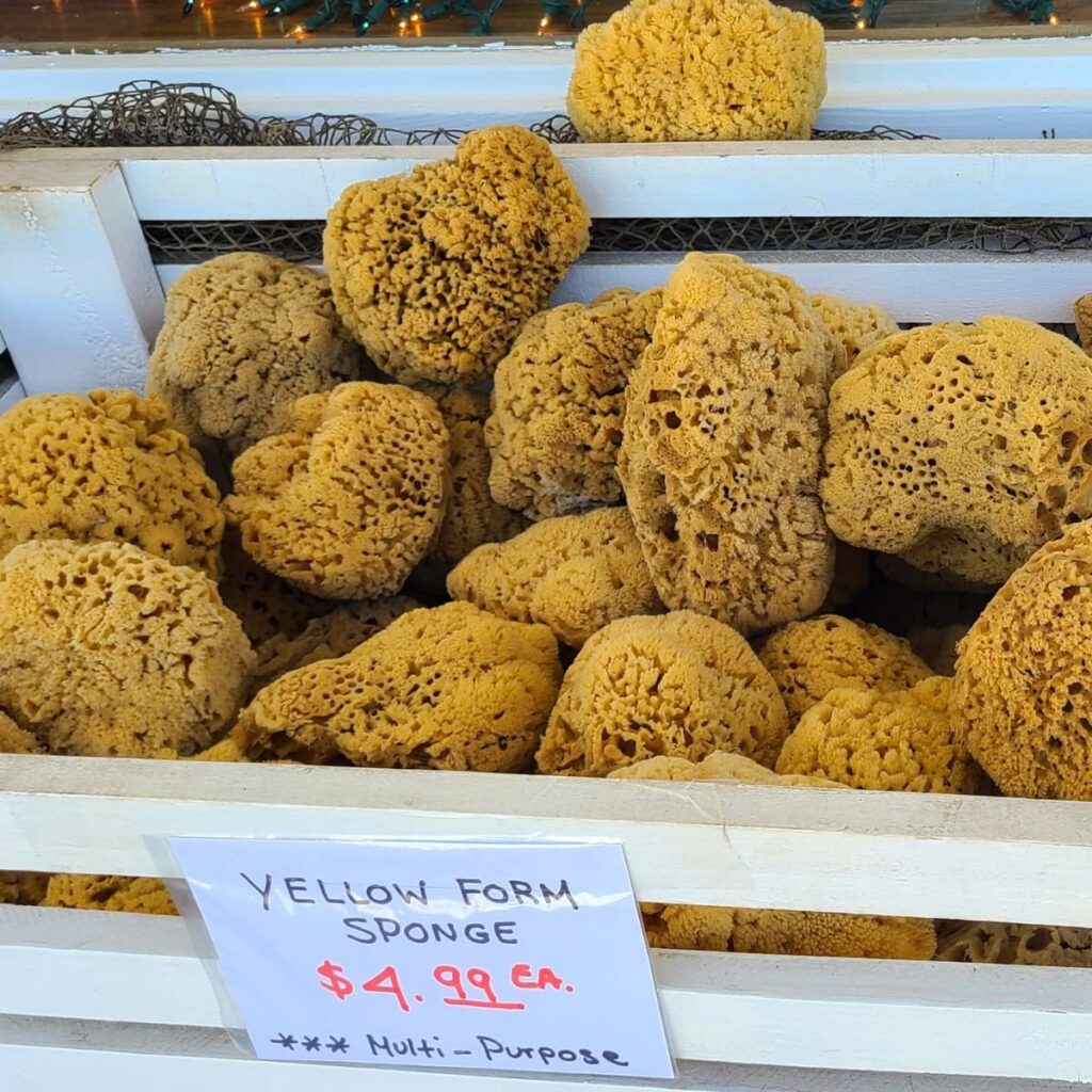 yellow sponges at Tarpon Springs - real sponges